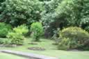 Franklyn Guest House - Garden