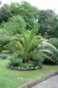 Franklyn Guest House - Garden